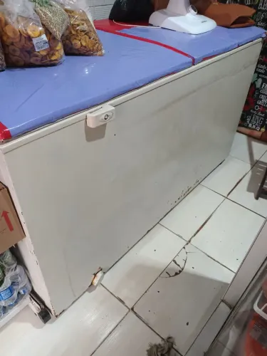 Frizer horizontal duas portas