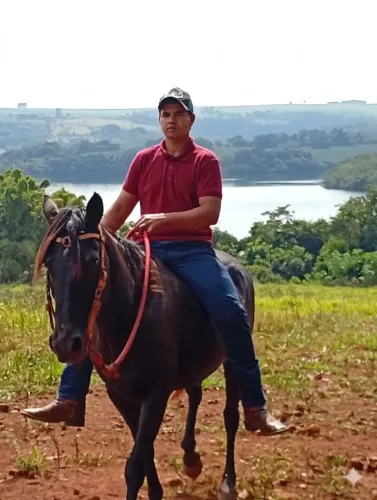 Vendo égua