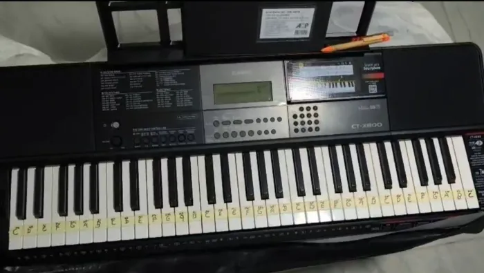 Teclado Casio ct-x800