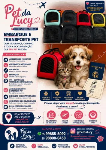 Bolsa pet viagem na cabine