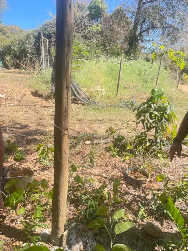 Vendo terreno