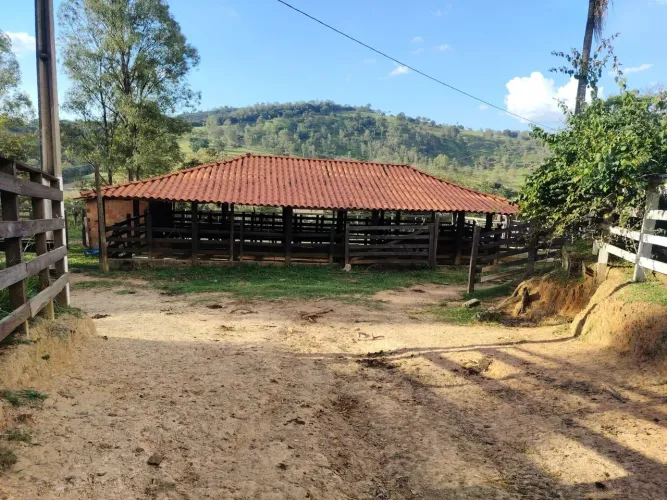 ?Fazenda de 78 Hectares em Itaúna