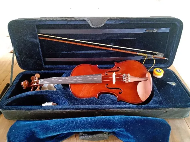 Violino Eagle 4/4