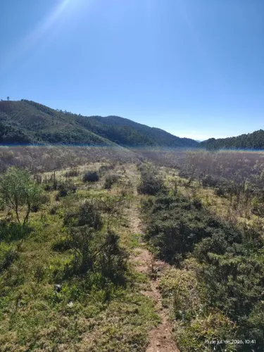 Fazenda com 300 hectares com altitude em Cristina MG