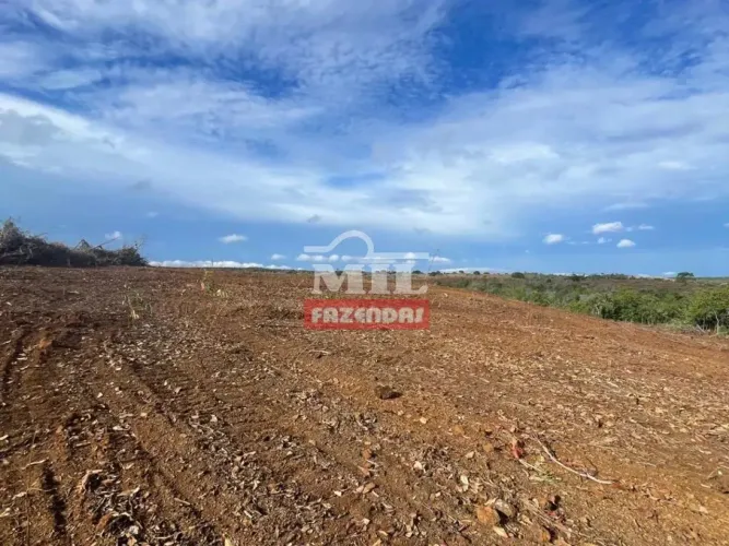 Fazenda 40 Alqueires (194 Hectares) Porto Nacional - To