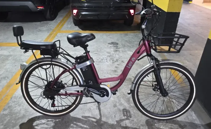 Bicicleta LEV