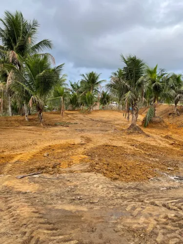 Vendo terreno próximo a Meaipe! Terreno já foi feita a terraplanagem!