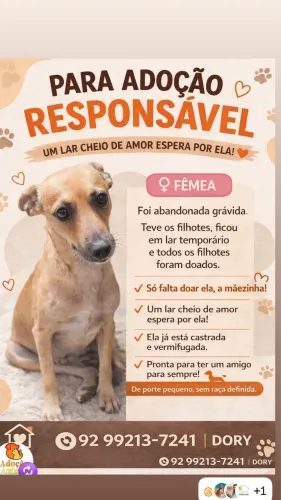 Adocao responsavel