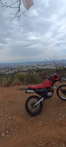 NX Trilha ou roça 