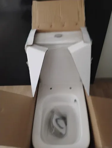 Vaso sanitário monobloco