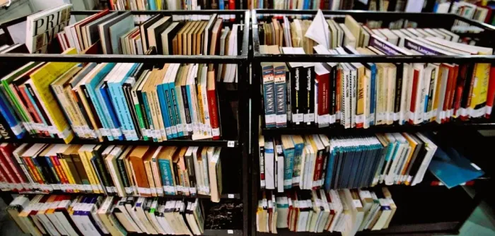 Pequena Biblioteca de Livros Usados em Bom estado