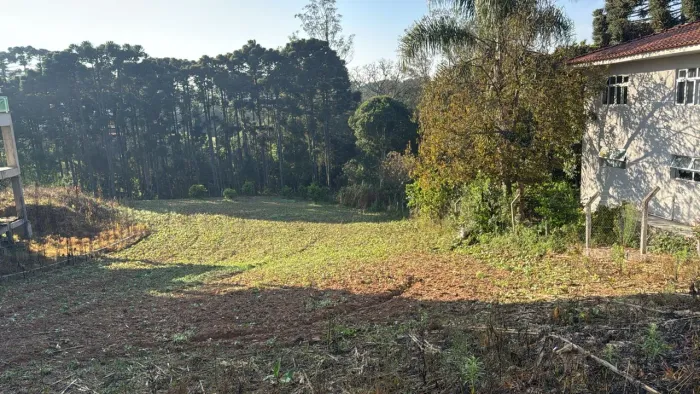 Terreno colônia murici