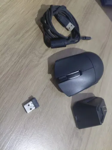Mouse