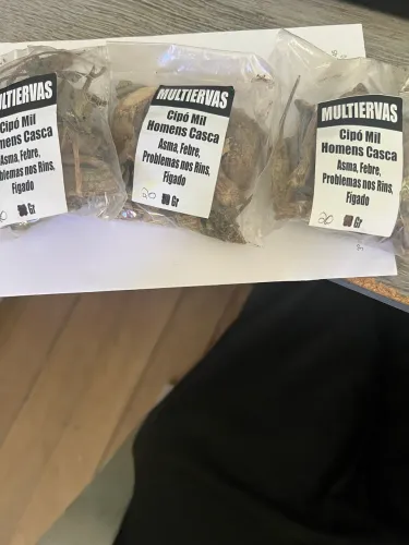 Plantas medicinais