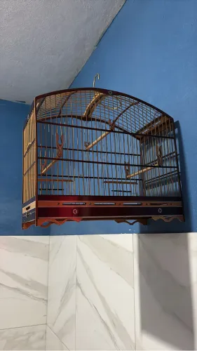 Vendo gaiola Semino estado de Nova
