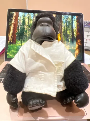 Macaco ? da Estrela (1987)