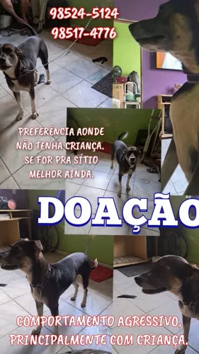 DOAÇÃO