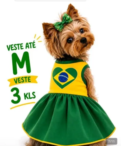 Vende-se vestido do Brasil, pra pet, raça pequena. 