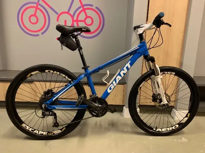 Giant Aro 26