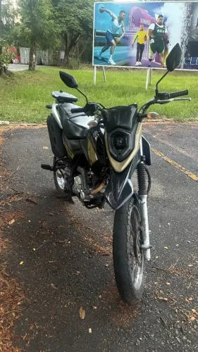 Vendo Crosser 2024