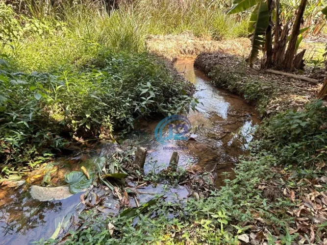 Chácara em E.S Pinhal, com 22000 m² por R$ 990.000 - Zona Rural - Espírito Santo do Pinhal