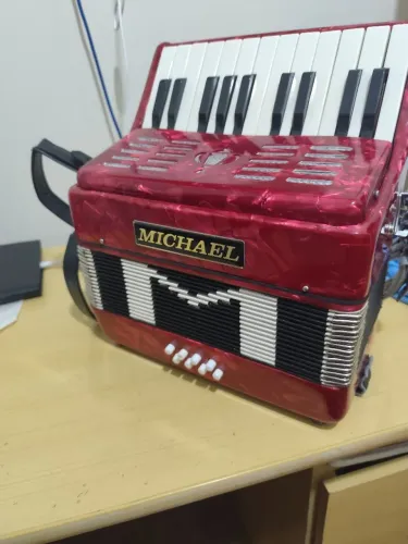 Acordeon 8 baixos Michael
