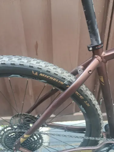 Bicicleta