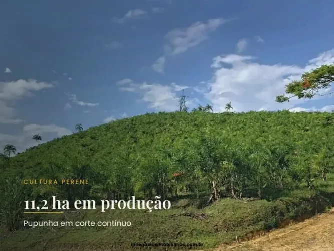 Sítios para venda em Juquia no bairro Zona Rural