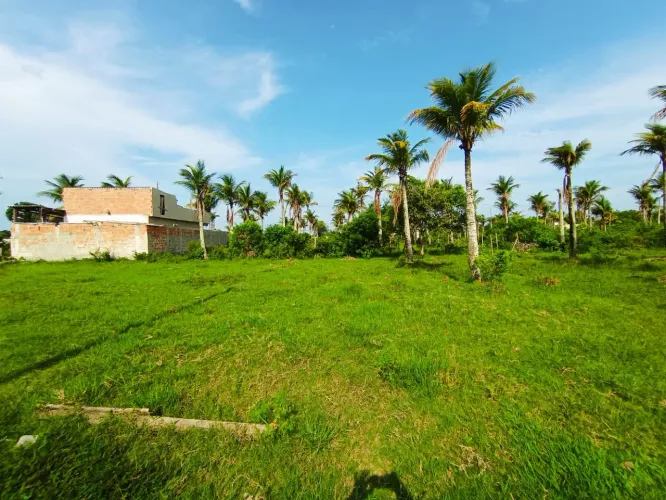 Vendo terreno próx a unamar bairro imperial na estrada da agriza