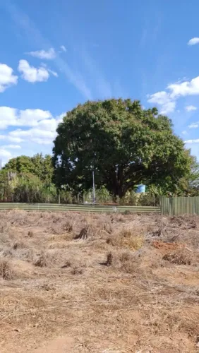 Lote em frente ao Taquari ao lado do rodas Daher