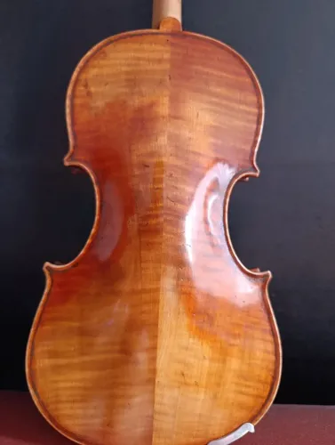 Violino