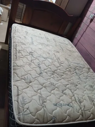 Cama