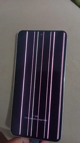 S21 Fe 128gb e 6gb