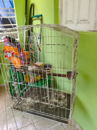 Vende-se
