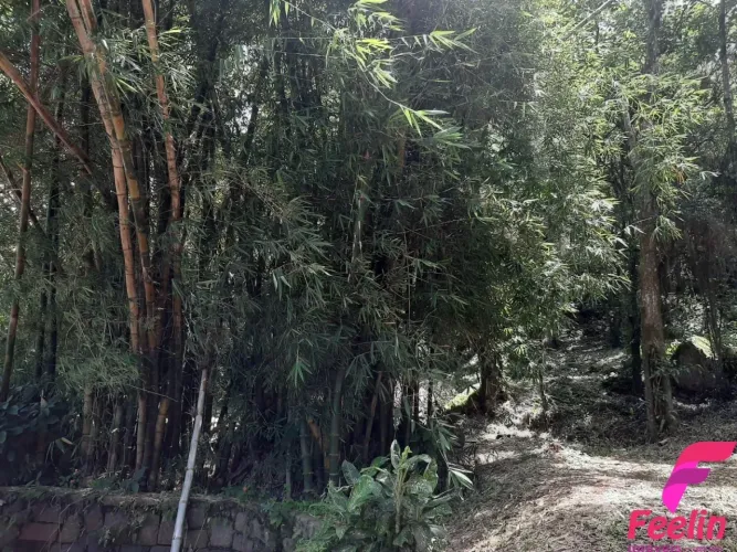 Terreno à venda, 20000 m² - Armação - Florianópolis/SC