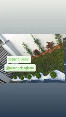 Grama Paisagismo Jardinagem