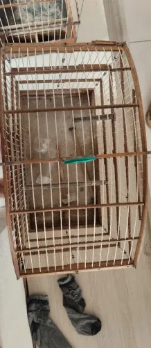 Gaiola de passarinho 