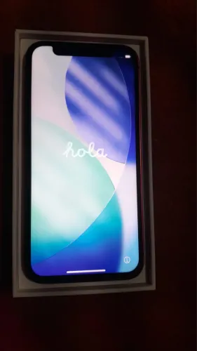 iPhone 12 mini