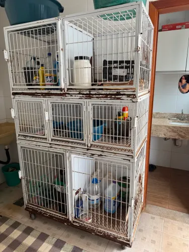Armário pra Pet 7 baias