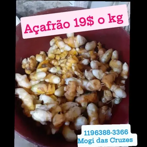 Açafrão da terra