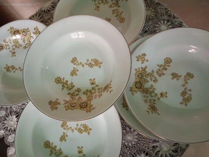 Vendo meia dúzia de prato fundos sem uso todos com filete pilogramia flores porcelana real
