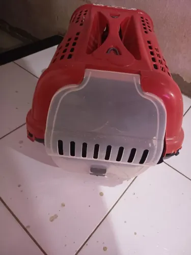 Vendo Cx de Transporte Grande NÃO FAÇO ENTREGA 