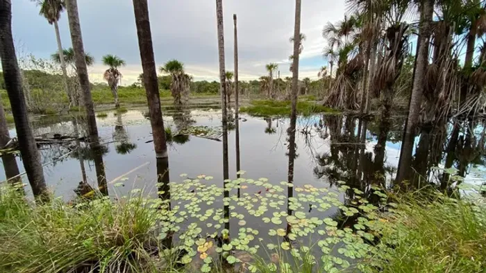 A.Moura Gestor Imobiliário - Vende Fazenda com 455ha próximo de Salinas Pará