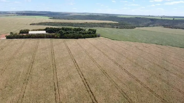 Fazenda 1.007 Hect. Cristalina Go. Perto posto JK 110 milhões.