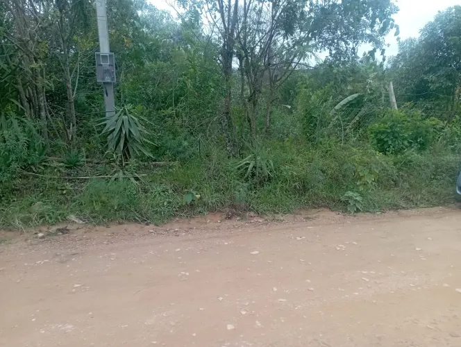 Chacrinha em Mandirituba 