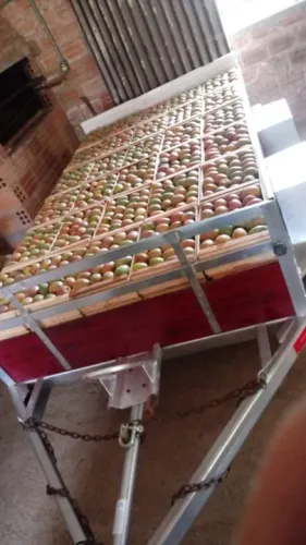 Reboque fazendinha novo e pronta para emplacar