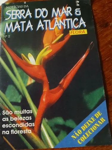 Revistinha vintage