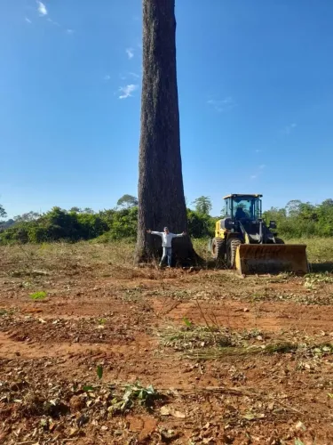 Fazenda de arrendamento em Juara MT. 2.000hrc pronto +1.500hec por ano, até 9.000 hec 