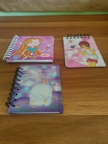 3 cadernos de bolso