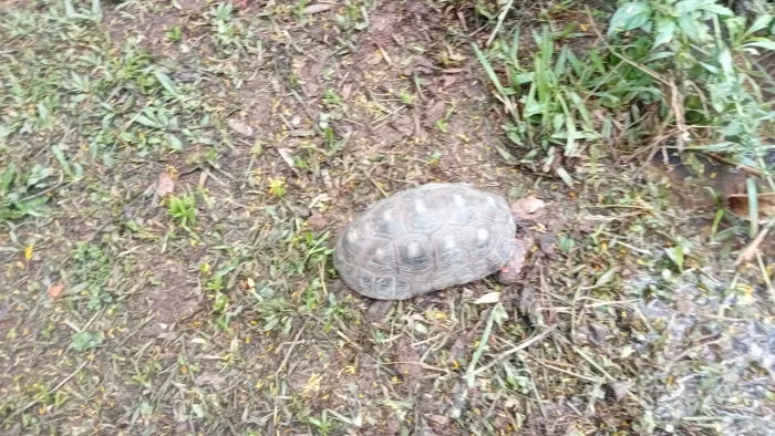Chacara completa próximo a cachoeira turística *